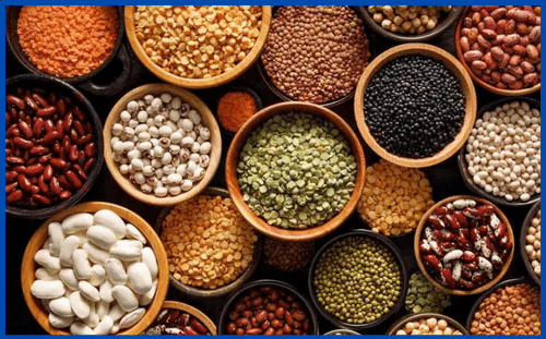 Indian_Pulses_Supplier_in_Malaysia