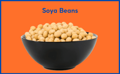 Soya Beans